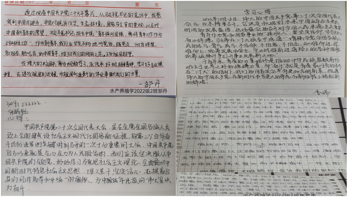 图片2