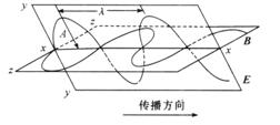 未标题-1